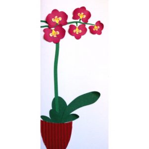 carte orchidée fuchsia