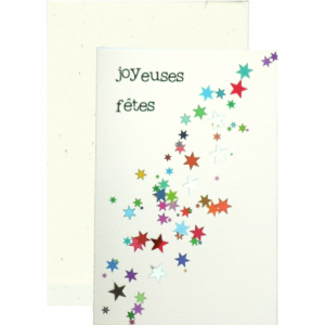 carte joyeuses fêtes aux étoiles