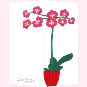 carte postale à l'orchidée